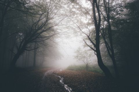 Andreiuc88 Andreiuc88
