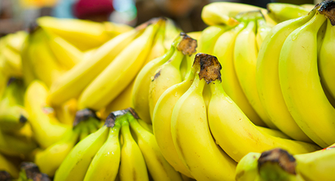 Banane St 480 Banane St 480