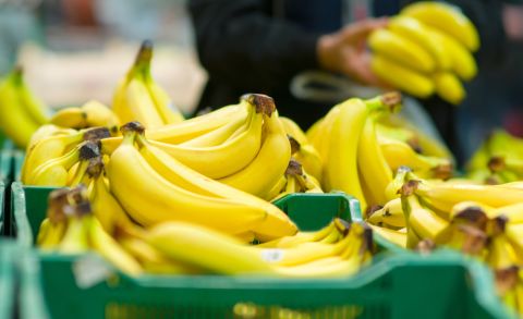 Bananenkiste St 480 Bananenkiste St 480