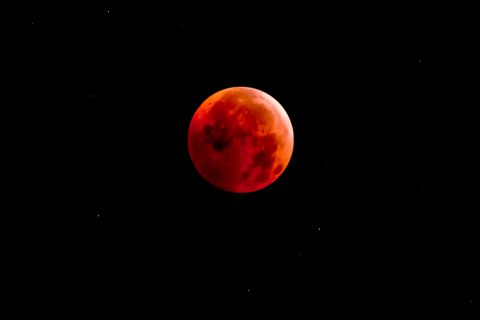 Blutmond Shutterstock 480x Blutmond Shutterstock 480x