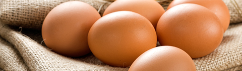Eier Eier