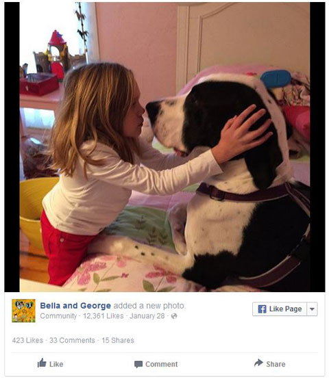 Facebook Bella And George Facebook Bella And George