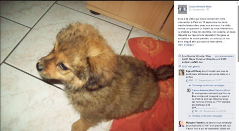 Facebook Cause Animale Nord Facebook Cause Animale Nord