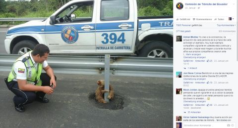 Faultier Facebook 2 480x Faultier Facebook 2 480x
