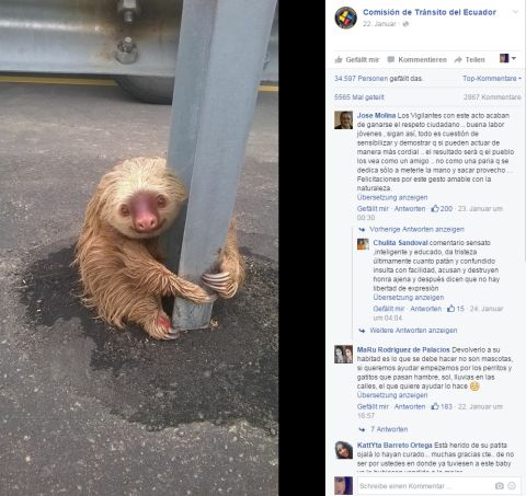 Faultier Facebook 3 480x Faultier Facebook 3 480x