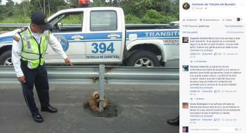 Faultier Facebook 480x Faultier Facebook 480x