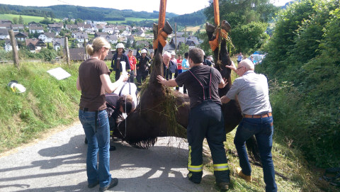 Feuerwehr Lennestadt 3 Feuerwehr Lennestadt 3
