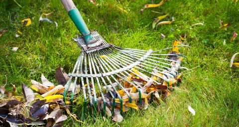 Gartenarbeit Gartenarbeit