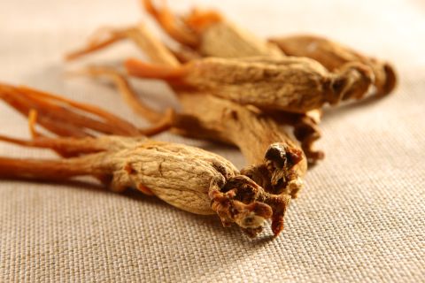 Ginseng Shutterstock 480x Ginseng Shutterstock 480x