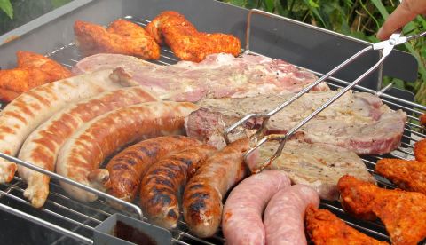 Grillen 480 Grillen 480