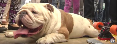 Guinness World Records Guinness World Records