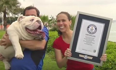 Guinness World Records4 Guinness World Records4
