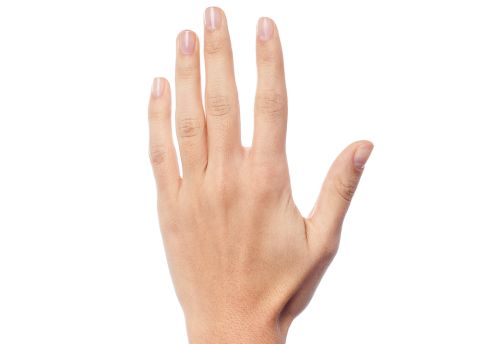 Hand 480 Hand 480