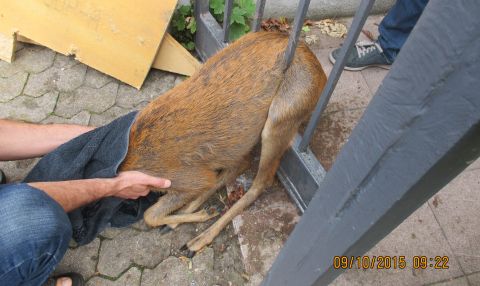 Img 2047 1 Reh Img 2047 1 Reh