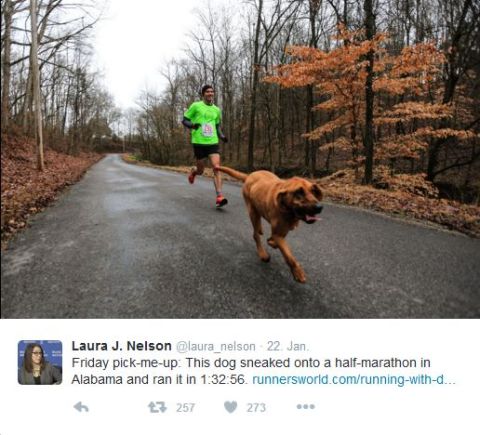 Marathon Marathon