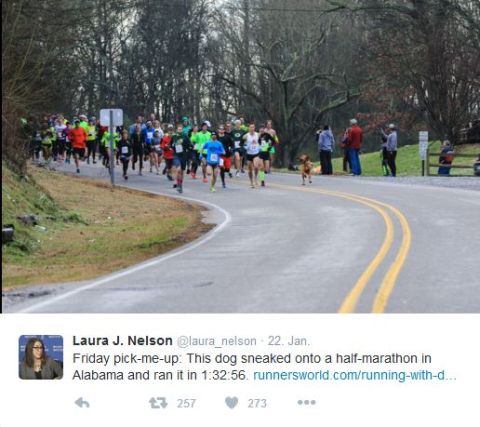 Marathon4 Marathon4