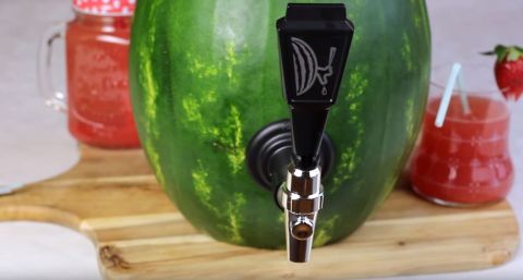 Melone Yt480 Melone Yt480