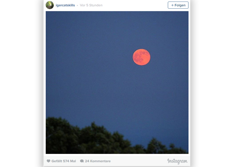 Mond02 Mond02