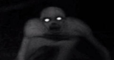 Monster Monster