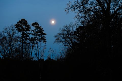 Nacht Shutterstock 480x Nacht Shutterstock 480x