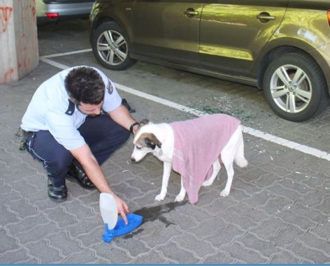Polizei 14 Polizei 14