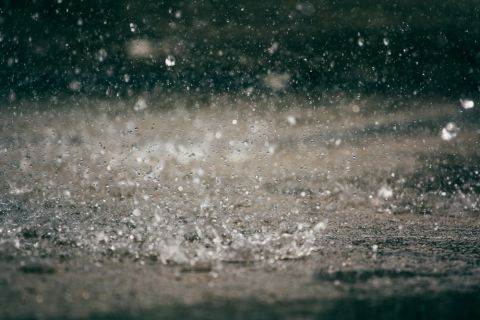 Regen Shutterstock 480x Regen Shutterstock 480x
