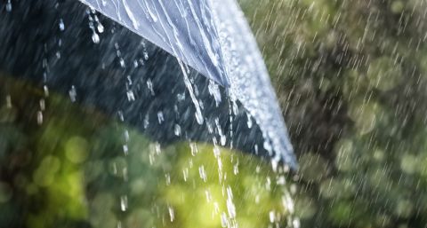Regen St 1 Regen St 1
