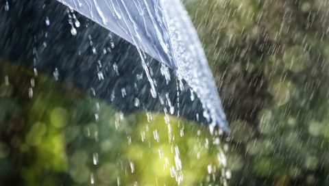 Regen St 480 Regen St 480