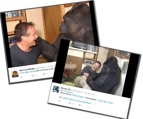 Robinwilliams Robinwilliams