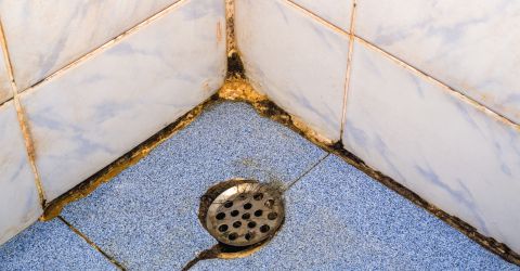 Schimmel Im Badeizimmer Schimmel Im Badeizimmer