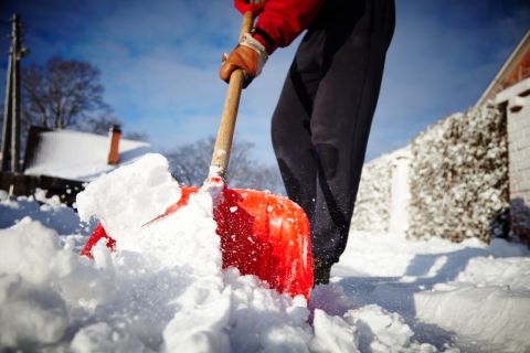 Schnee 1 Shutterstock 480x Schnee 1 Shutterstock 480x