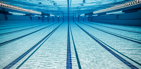 Schwimmbad Shutterstock 480 Schwimmbad Shutterstock 480