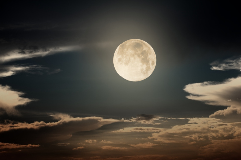 Shutterstock 133146818 Shutterstock 133146818