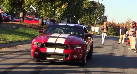 Stang Vids Stang Vids