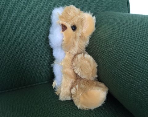 Teddy 480x Teddy 480x