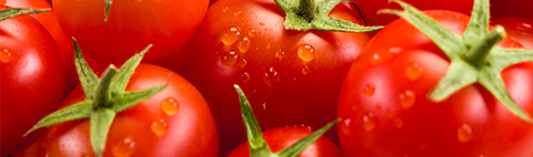 Tomaten Tomaten