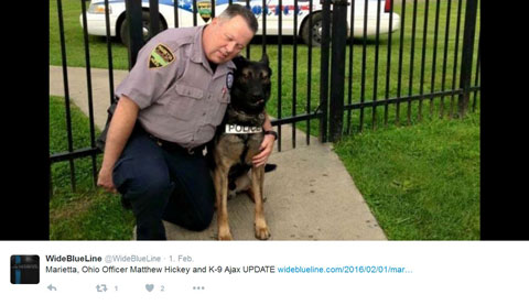 Twitter Wideblueline Twitter Wideblueline