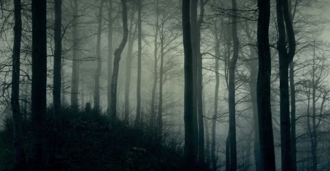 Wald4 Wald4