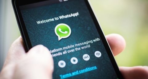 Whatsapp 480 Twin Design Whatsapp 480 Twin Design