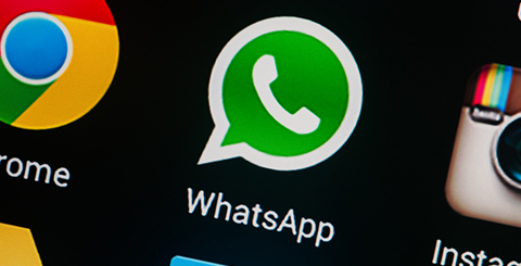 Whatsapp Alexander Supertramp St 480 Whatsapp Alexander Supertramp St 480