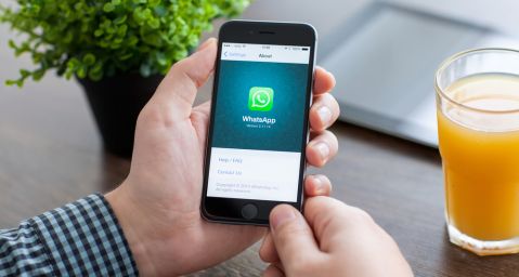 Whatsapp Denys Prykhodov Shutterstock Whatsapp Denys Prykhodov Shutterstock