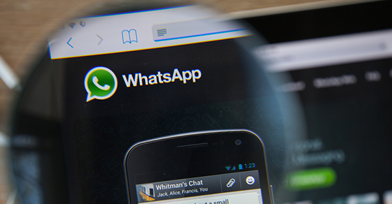 Whatsapp St 480 Gongto Whatsapp St 480 Gongto