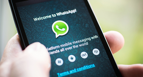 Whatsapp Twin Design St 480 Whatsapp Twin Design St 480