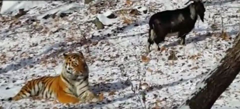 Youtube 02safaripark25 Youtube 02safaripark25