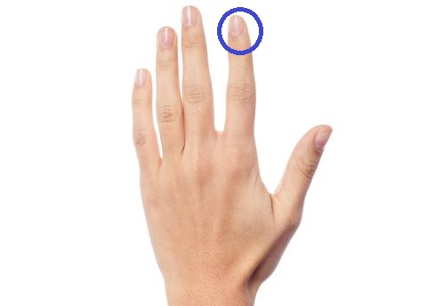 Zeigefinger 480 Zeigefinger 480