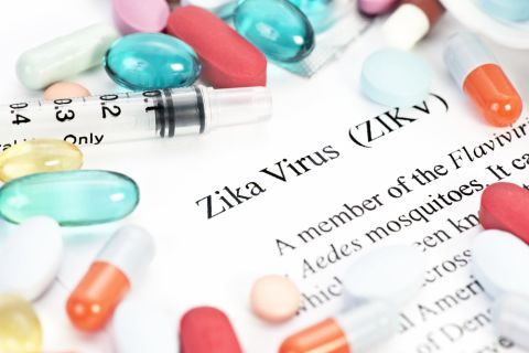 Zika Shutterstock 480x Zika Shutterstock 480x