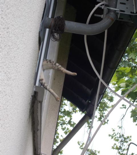 Zwischenablage01 24 Zwischenablage01 24