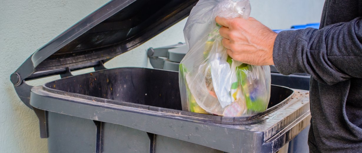 Effektive Hilfe gegen Maden in der Mülltonne | RPR1.
