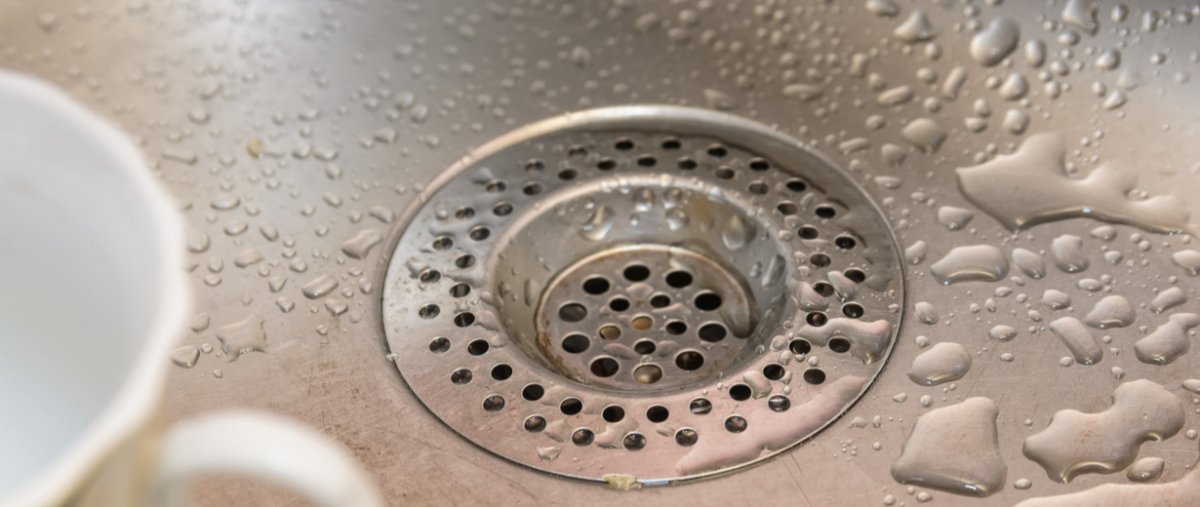 Was Kann Man Gegen Stinkende Abflusse Machen Rpr1